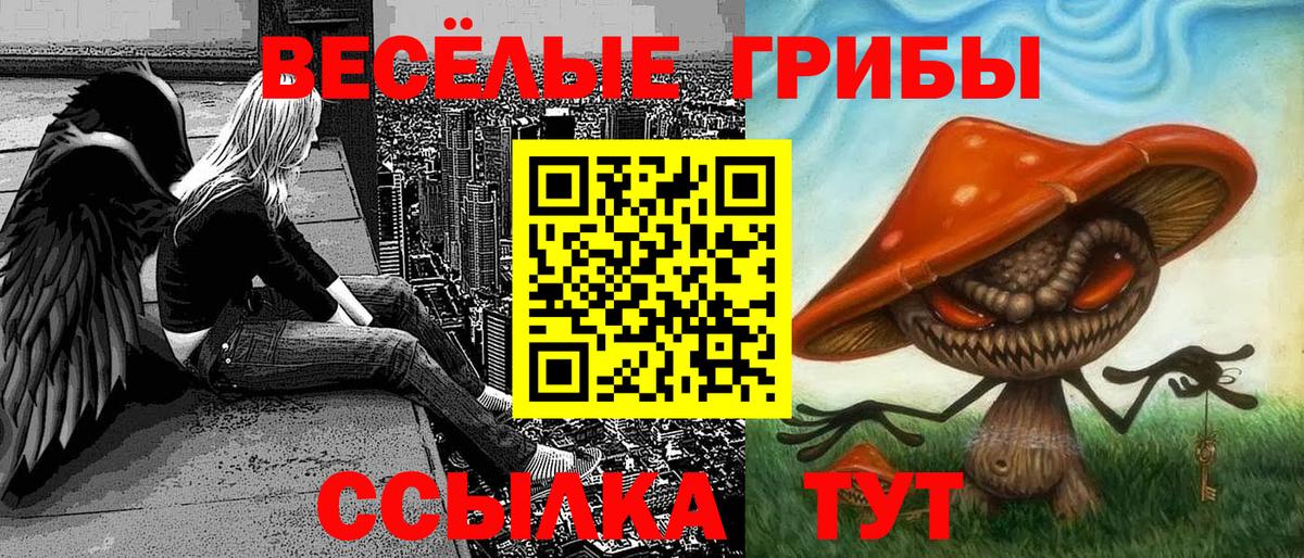 Псилоцибиновые грибы GOLDEN TEACHER Копейск
