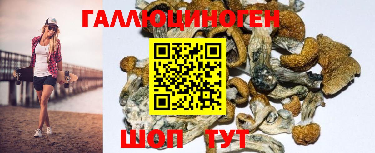 Галлюциногенные грибы Magic Shrooms  Псилоцибиновые грибы ЛСД  Копейск 