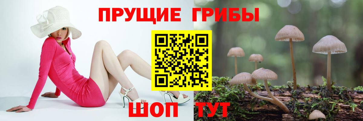 Копейск  Псилоцибиновые грибы Psilocybe  цены   Вход с VPN 